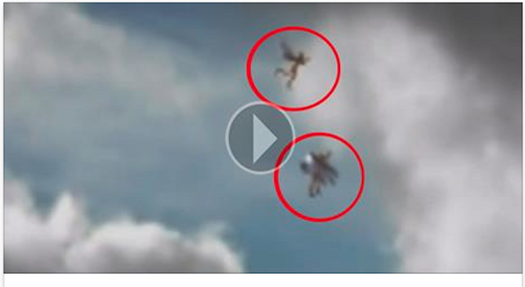 a camera captures 2 flying mysterious creatures. And now clash on the world of the web!