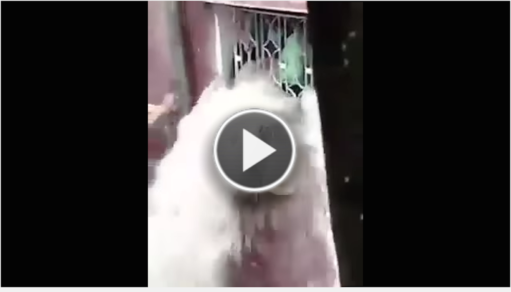 Unbelievable ! watch how they save a family traped in floded bulding